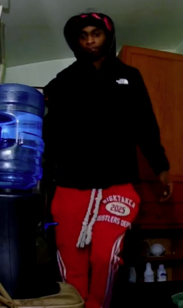 Erie cops hunt suspects in attempted home burglary