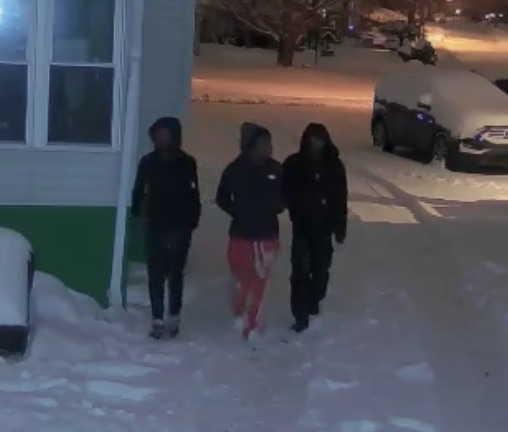 Erie cops hunt suspects in attempted home burglary