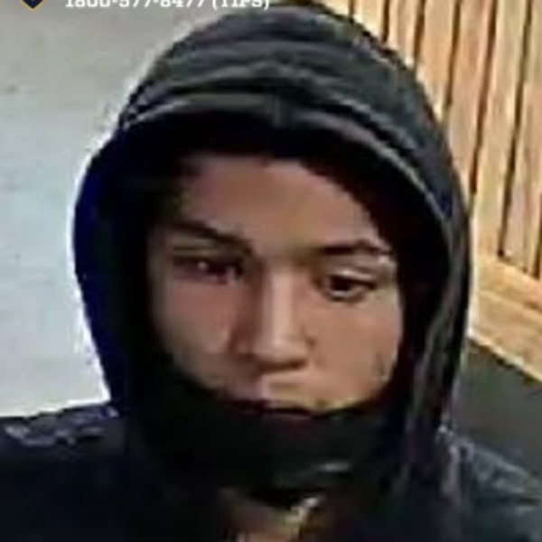 Teens shoved and robbed in brazen Central Park attack