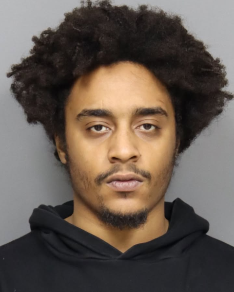 Routine traffic stop turns into weapon bust on utica street - photo licensed by shore news network.