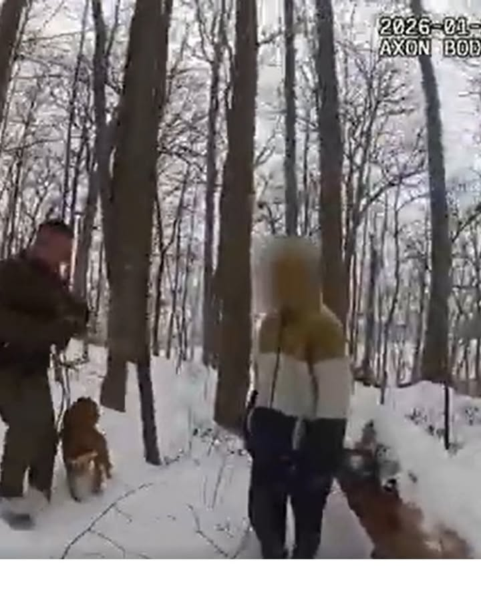 Teen missing in snowstorm found alive in woods after police bloodhound search