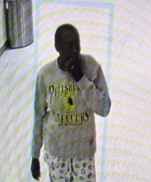 Woman with early dementia vanishes near myrtle beach hospital