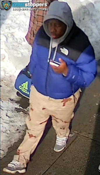 Teen ambushed by two suspects in bronx park robbery