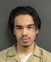 Virginia teen pleads guilty to attempted murder of new jersey police officer Virginia teen pleads guilty to attempted murder of new jersey police officer