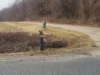 Mailbox explosion under investigation in galena