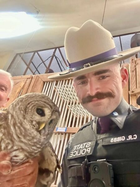 This cop gives a hoot; saves owl from highway - photo licensed by shore news network.