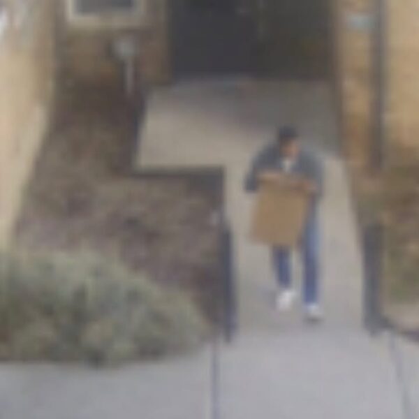 Newark police seek suspect in package theft caught on camera