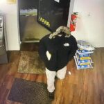 Toms river clerk breaks free as robber tries to bind her with zip ties - photo licensed by shore news network.