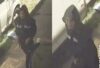 Gunman still at large after fatal lockwood avenue shooting
