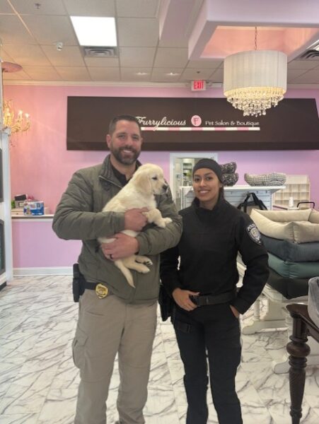 Golden retriever pup stolen from nj store found in pennsylvania - photo licensed by shore news network.