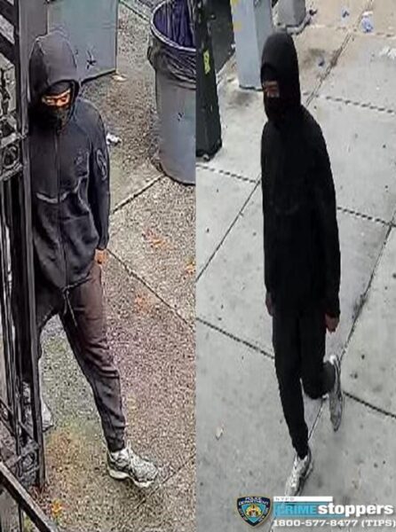 Brooklyn woman injured after thief snatches phone in daylight robbery - photo licensed by shore news network.