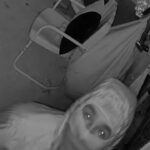 Anne arundel police hunt suspects in double shed heist - photo licensed by shore news network.