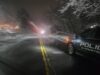 Fallen tree temporarily closes route 303 in congers overnight, now reopened