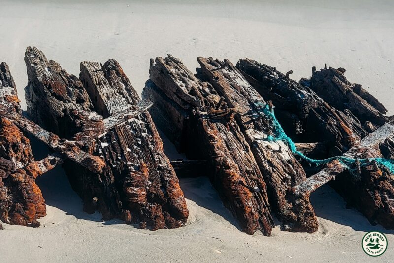 Icy snow storm uncovers 136 year old shipwreck hidden beneath the Jersey Shore sands