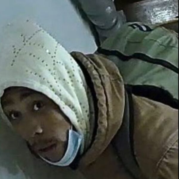 Porch pirate strikes again in richmond burglary spree - photo licensed by shore news network.