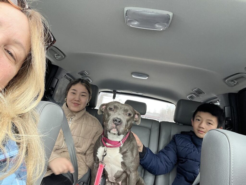 After roof collapse crisis, bella finds forever home with her foster family in newark