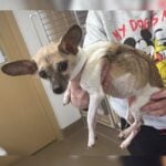 Shore News Network  Breaking News and Live Updates Across New Jersey New York and Pennsylvania   Page 2