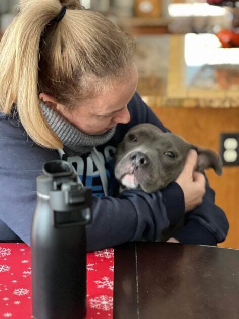 After roof collapse crisis Bella finds forever home with her foster family in Newark