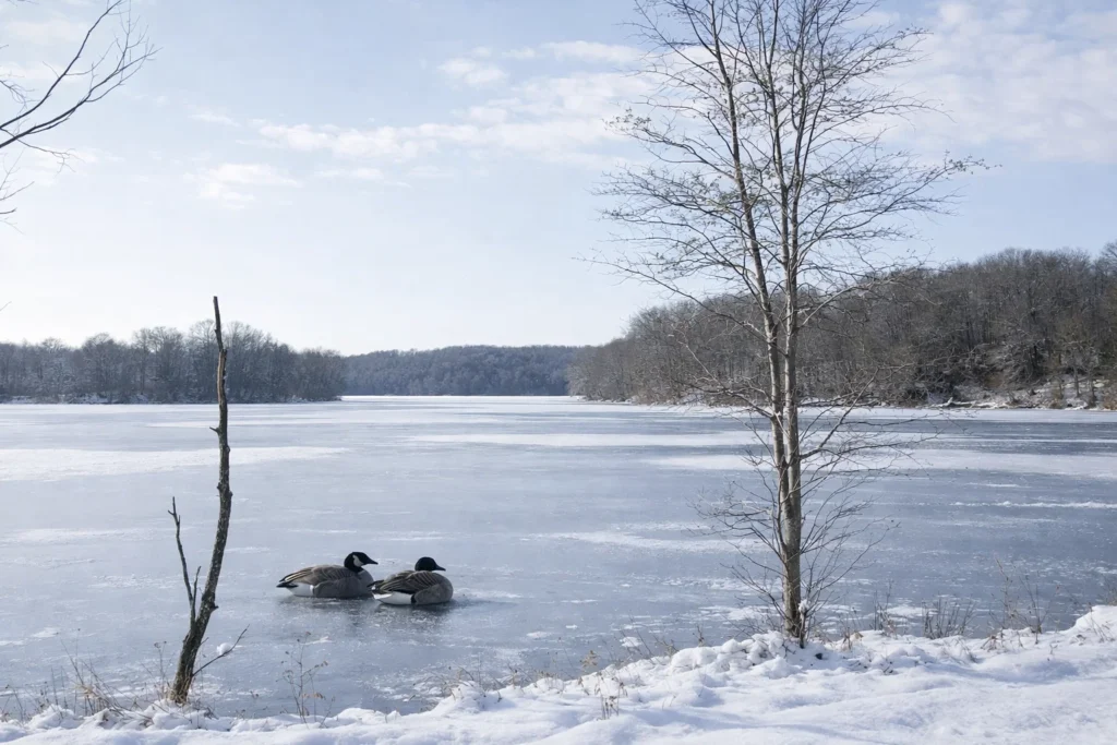 Shore news network - breaking news for nj-pa-ny | photo licensed by shore news network. Shore news network - breaking news for nj-pa-ny - photo licensed by shore news network.