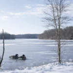No risk to water supply after dead geese with suspected avian flu found at monmouth county reservior - photo licensed by shore news network.