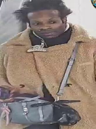 Cellphone attack on subway platform leaves two women hurt