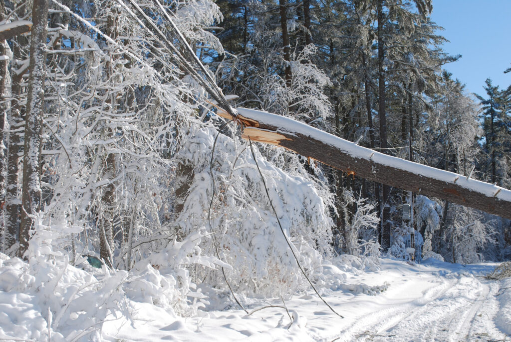 Jersey shore braces for 24 inch blizzard, power outages, and coastal flooding threat