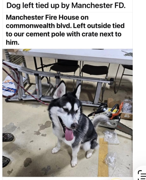 Firehouse drop off dog still searching for a way out