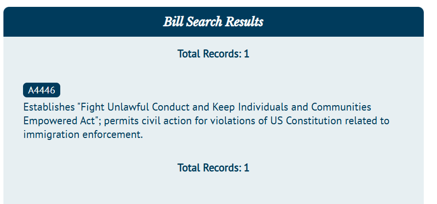 New jersey democrats unveil provocatively named ‘f. U. C. K. I. C. E. Act’ targeting federal immigration enforcement