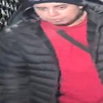 Queens knife menace slashes man in face then bolts - photo licensed by shore news network.