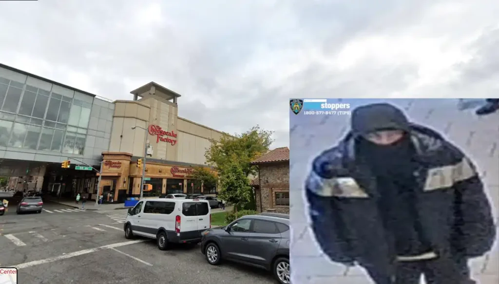 Queens center slashing leaves teen injured as nypd hunts knife-wielding suspect