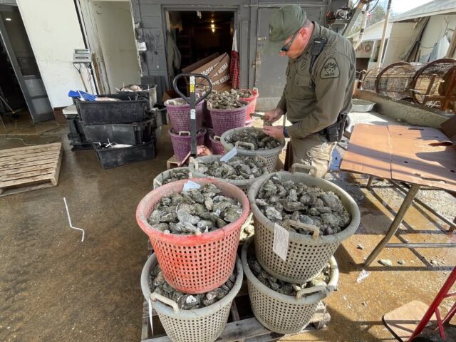 Maryland natural resources police ensure chesapeake bay shellfish remain safe after potomac spill