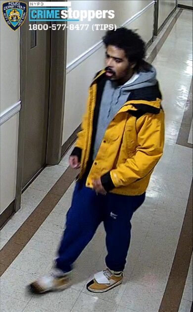 Bronx manhunt underway after two women slashed in building - photo licensed by shore news network.