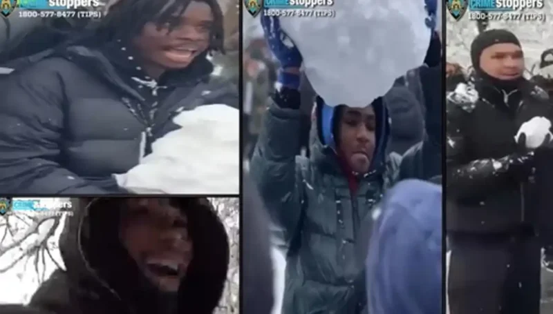 Mamdani doubles down refuses to condemn ice and snowball attack on cops at Washington Square Park