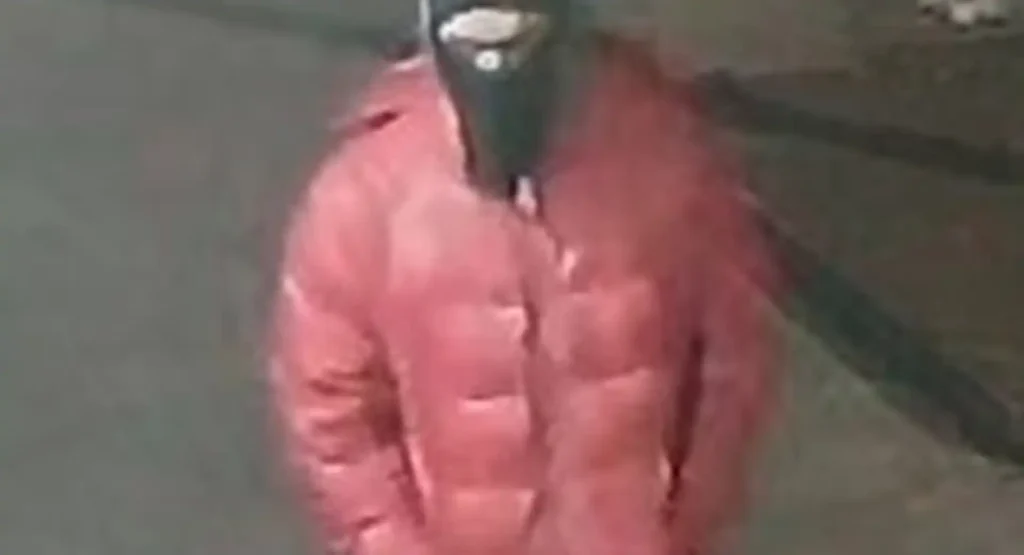 Nypd searching for gunman who opened fire inside bronx apartment building