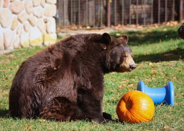 Shore News Network  Breaking News and Live Updates Across New Jersey New York and Pennsylvania   Page 137