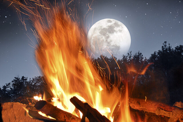 North carolina issues statewide burn ban as wildfire risk rises