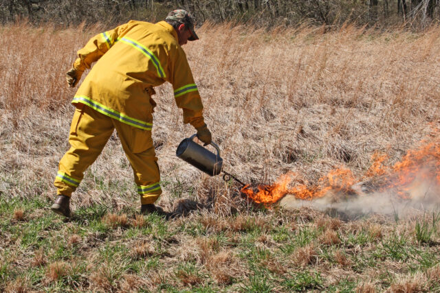 Controlled burn underway in berkeley township, smoke expected along davenport road