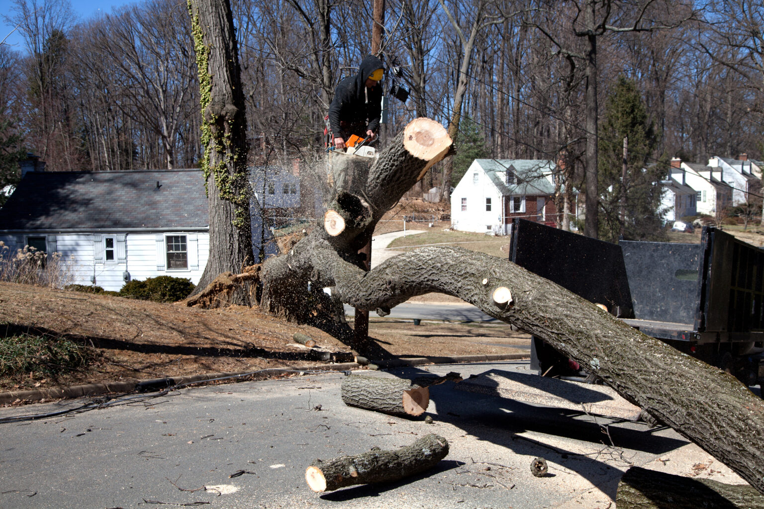 Severe Thunderstorms Likely Monday With 75 MPH Winds Possible Across ...