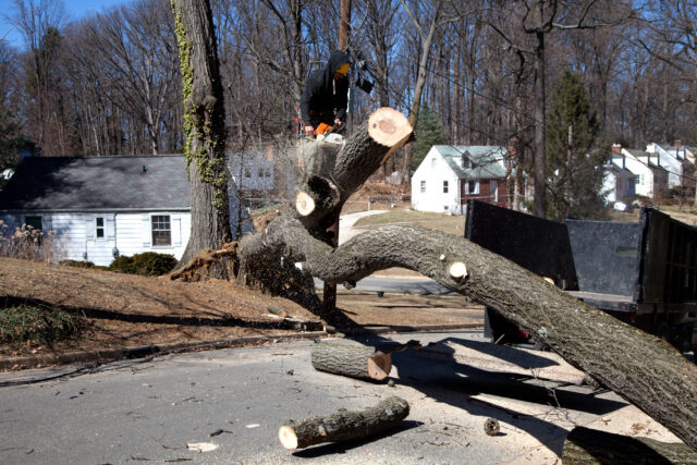 Severe thunderstorms likely monday with 75 mph winds possible across new jersey