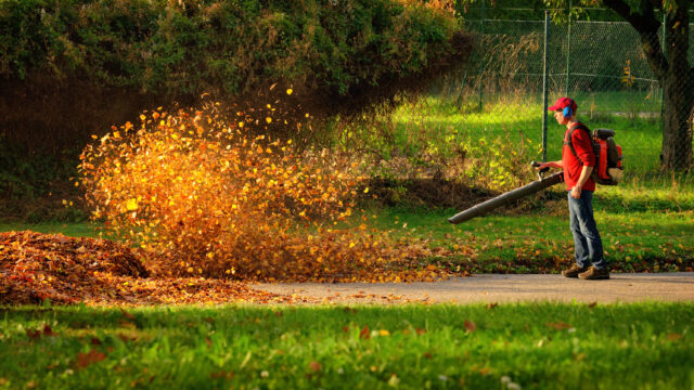 New jersey bill to ban sale and use gas leaf blowers introduced again by democrats