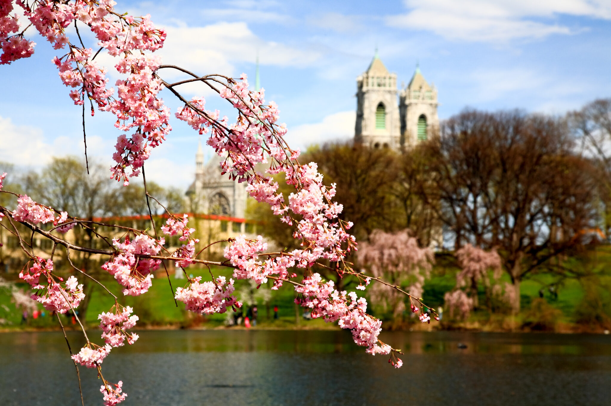 First day of spring arrives in New Jersey: Here are the top 10 spots to ...