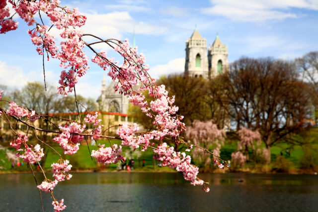 First day of spring arrives in new jersey: here are the top 10 spots to hit before summer