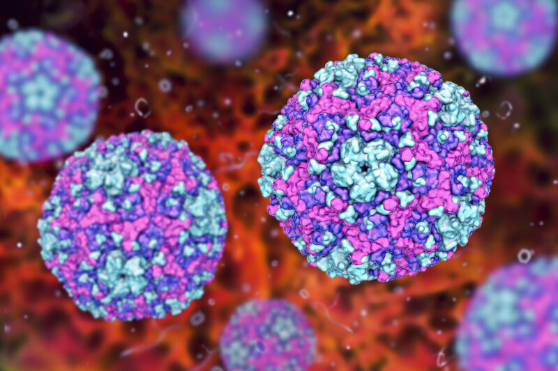 Unprecedented deadly uk meningitis outbreak leaves new yorkers wondering: can it come here too? | photo licensed by shore news network. Unprecedented deadly uk meningitis outbreak leaves new yorkers wondering: can it come here too?