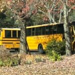 School Bus