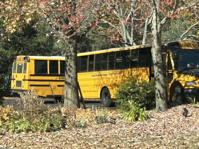 School Bus