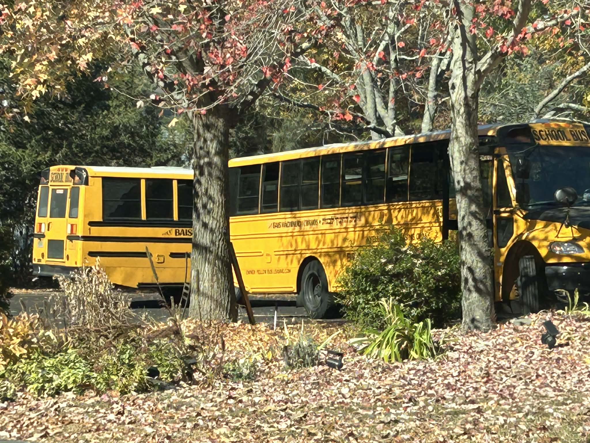 School Bus