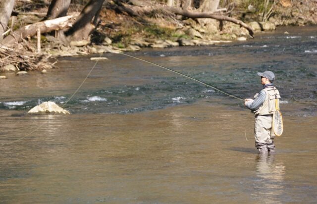 New jersey stocks 20,000 brown trout across lakes ahead of spring fishing season