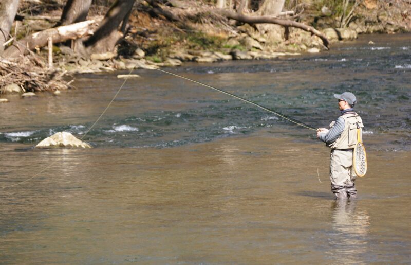 New jersey stocks 20,000 brown trout across lakes ahead of spring fishing season