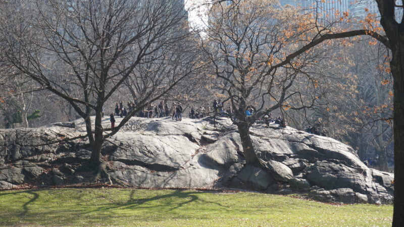Nyc set for mild weekend as temps climb into 60s after winter chill