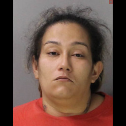 Woman arrested after children allegedly beaten and threatened with firearms | photo licensed by shore news network. Woman arrested after children allegedly beaten and threatened with firearms